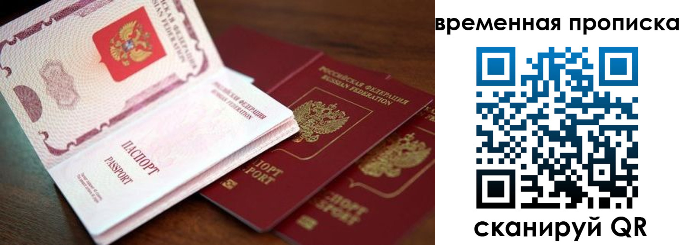 прописка гарантия в Курской области