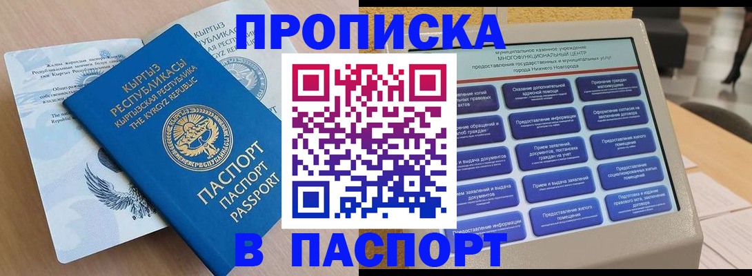 регистрация в Курской области